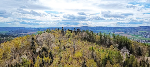 Wieża widokowa Graniczny Wierch (cz. Hraniční vrch)