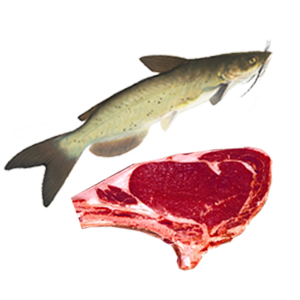 Fisch gleich fleisch