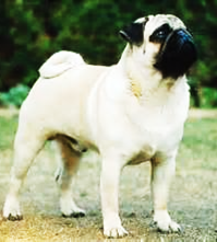 clip_image005