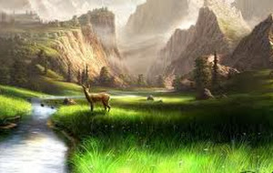သင္ပစ္လိုက္တဲ့ စံပယ္