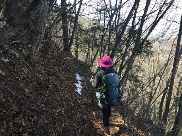 鞘口峠から三頭山を目指す女