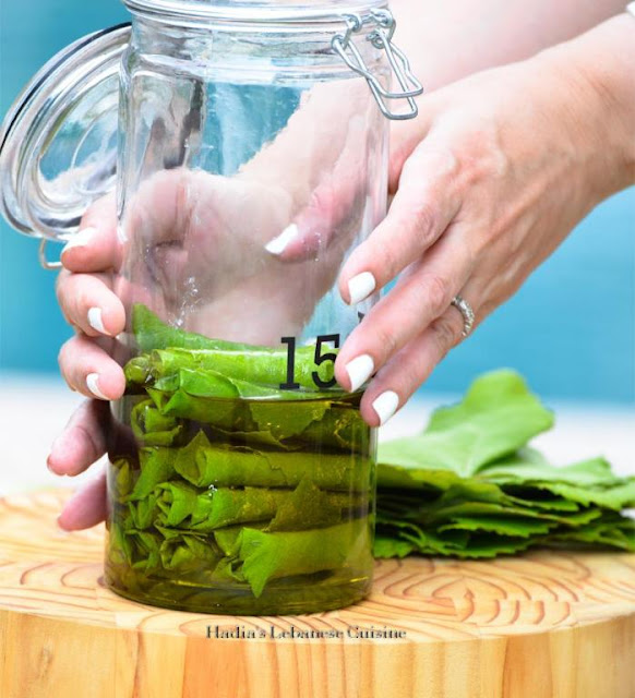 Labneh Stuffed Grape Leaves Preserved in Oil Labneh Stuffed Grape Leaves Preserved in Oil