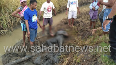 Penemuan Mayat Di Saluran Irigasi Gegerkan Warga Pinrang, Ini Lokasinya