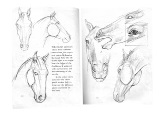Mold Breaker Drawing Horses