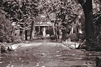 Bucarest, parc Cismigiu, © Louis Gigout, 1997