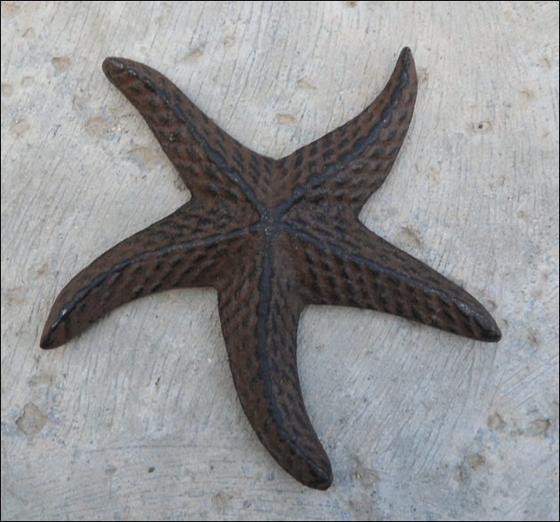 starfish