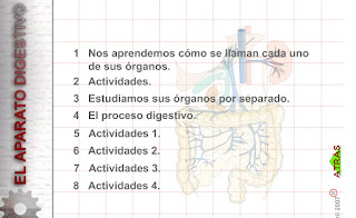 http://www.eltanquematematico.es/pizarradigital/AparatoDigestivo/inicio_cm.html