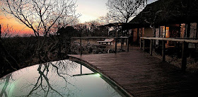 Little Ongava Lodge Namibia - www.namibweb.com/littleongava.htm