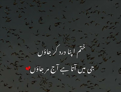 sad poetry status, urdu poetry, urdu