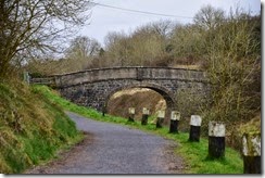 40-DSC_0506