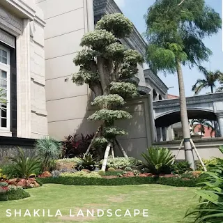 Tukang taman ponorogo