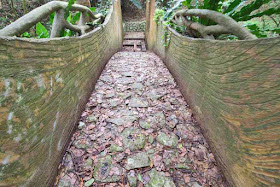 Hollowed-out tree, bridge, stone, path, stream