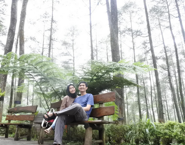 Orchid Forest Cikole Lembang