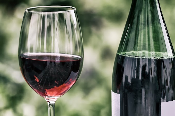 Tradição em Garrafas: a importância da valorização dos vinhos produzidos no RS