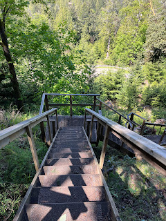 set of steep stairs leading downward in a trail