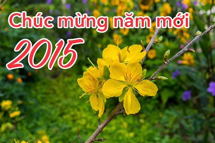 2859503_tinhte.vn-chuc-tet-2015