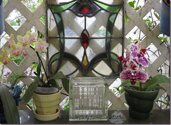 03-12-orchid-grotto2