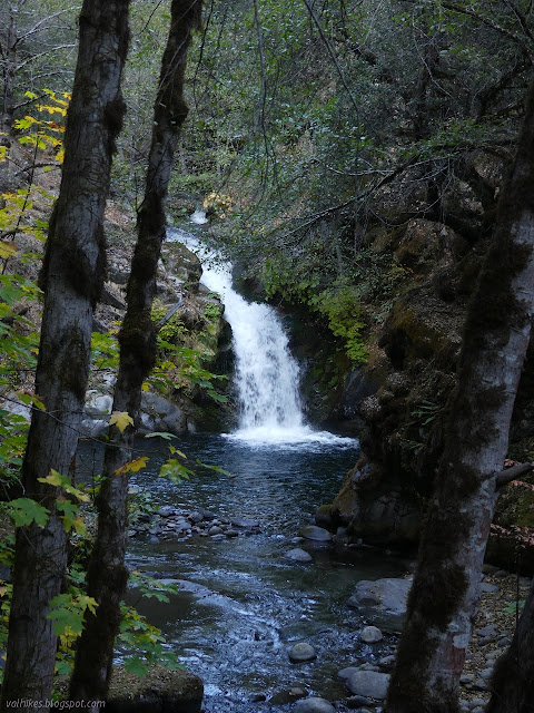 Bridge Creek and waterfall