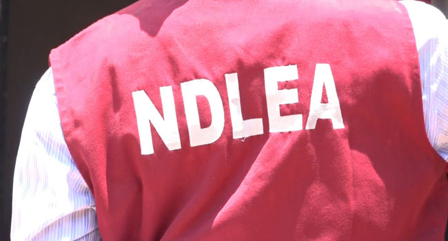 “5,147 Out Of 31,675 Drug Trafficking Suspects Arrested Have Been Jailed” – NDLEA