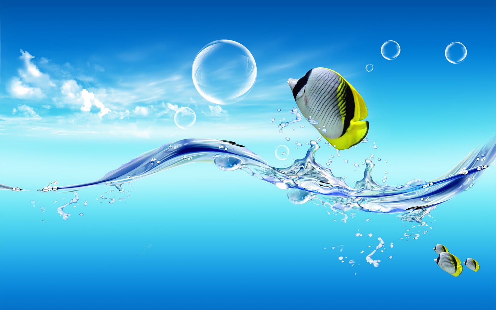 3d ocean fhish hd wallpaper