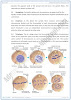 cell-cycle-detailed-question-answers-biology-9th