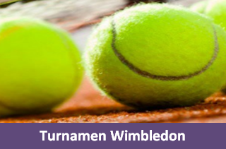 Apa Itu Kejuaraan Tenis Wimbledon, Juara Single Laki-Laki Dan Wanita
