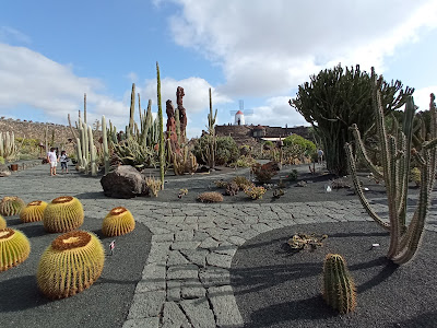 Jardín de cactus lanzarote