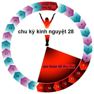 Chu kỳ kinh nguyệt