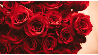  Romantic Red Rose Bouquet