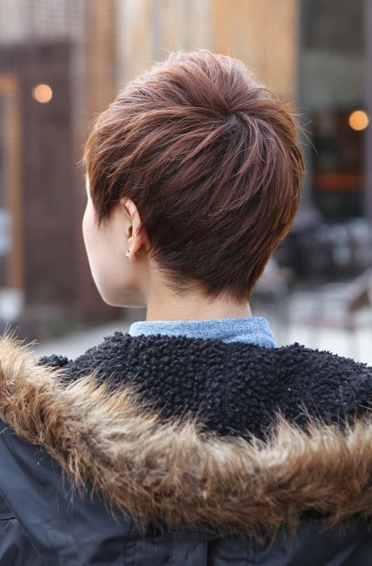 Short Hairstyles Back View Newest