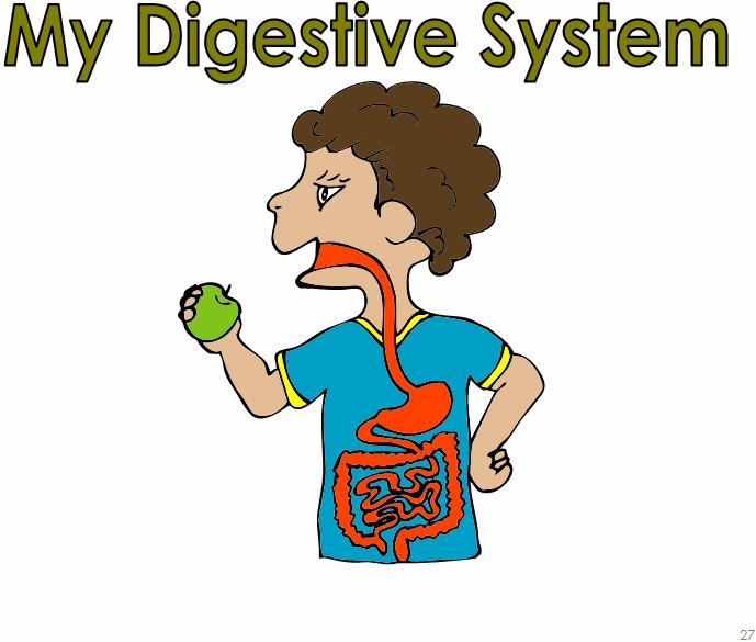 DIGESTIVE SYSTEM