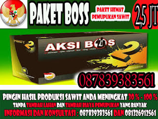  PAKET BOSS