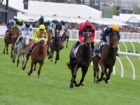 race 5 _finish 2