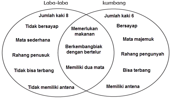 Diagram Venn Laba-Laba dan Kumbang