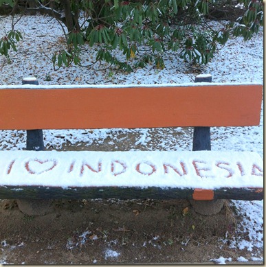 snow12