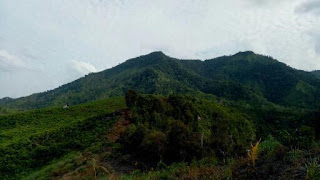 Bukit Sialang Batu