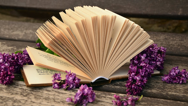 Lilac flowers good book HD Wallpapers