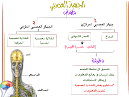 دليل المعلم أحياء الجهاز الدوري والجهاز التنفسي والجهاز الإخراجي للصف التاسع فصل ثاني 2024