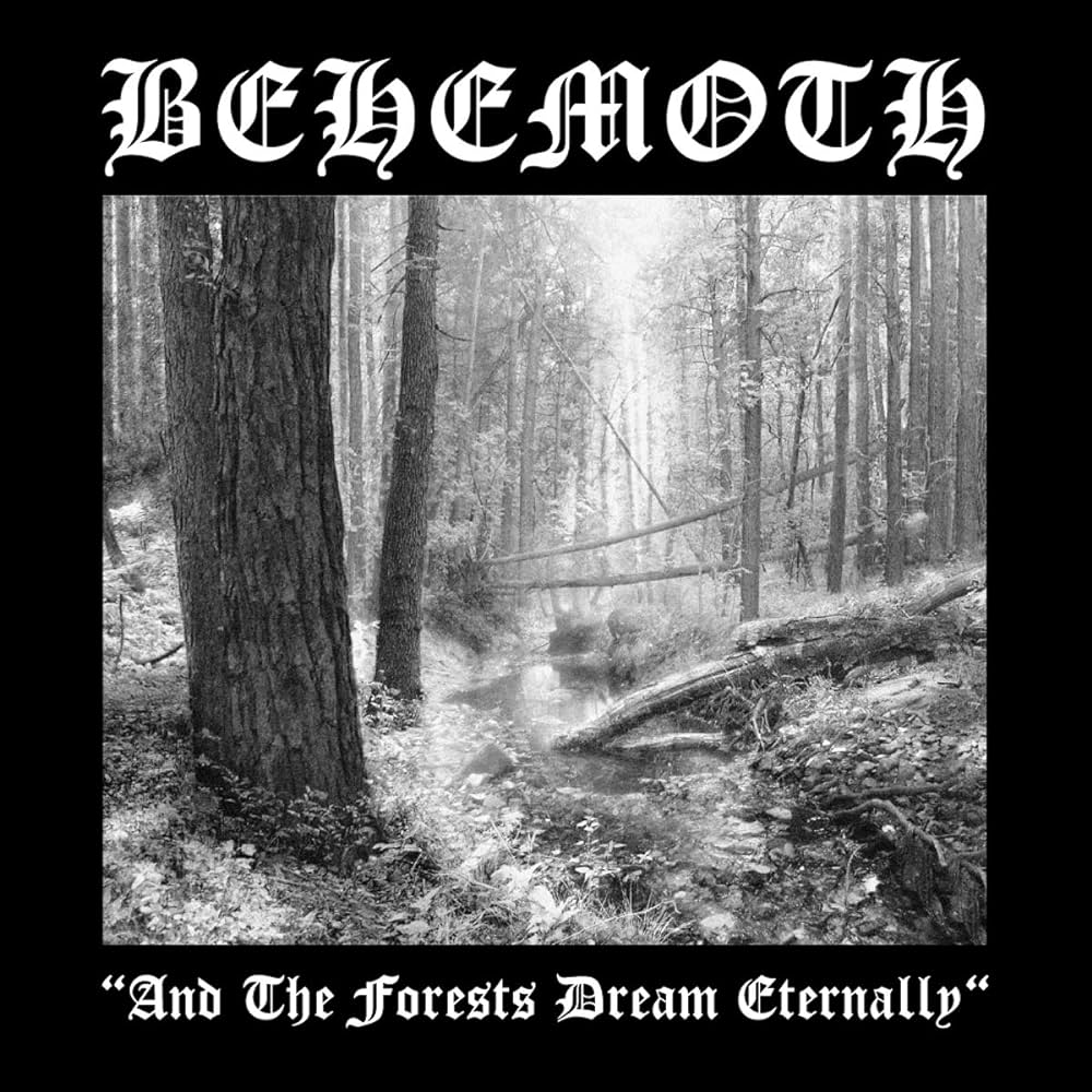 1995 - And the Forests Dream Eternally