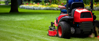 Lawn Care And Maintenance Services