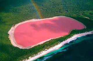 Tasik Berwarna PINK di Australia