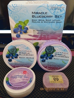 Paket Miracle Blueberry