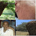 SO SAD!!! WHAT A PAINFUL DEATH!!! Woman Stung To Death By Bees While Doing This (Photos)
