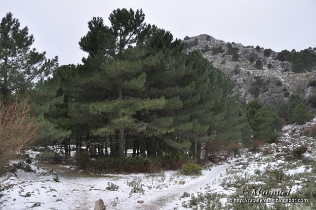 Circular nevada Grazalema - Llanos del Endrinal - Puerto de las Presillas - Puerto del Boyar