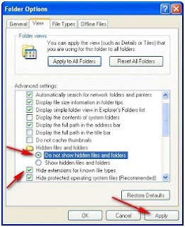 Mengatur show dan hidden file di windows explorer