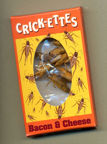 Bacon And Cheese Crickets2