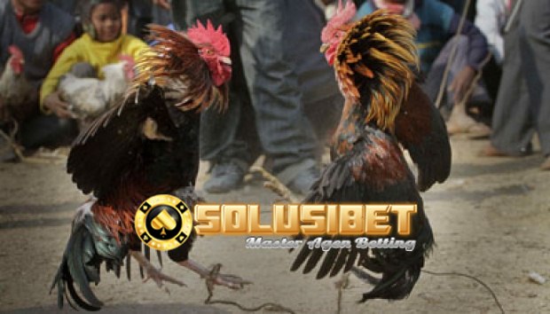 https://www.solusibet.com/panduan-sportsbook-sbobet.htm