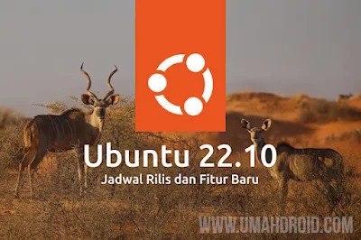 Jadwal Rilis Ubuntu 22.10 Kinetic Kudu