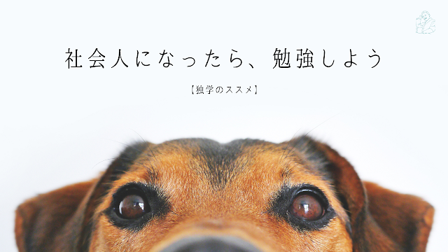 独学のすすめ「社会人になったら、勉強しよう」