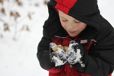 20 Winter Art Projects for Kids {The Unlikely Homeschool}